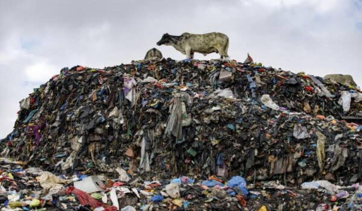 Ghana loses over GH¢6.2bn annually to poor sanitation – ISSER